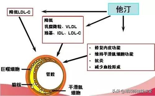 阿托伐他汀降价了吗,国家集采药品他汀类有哪些