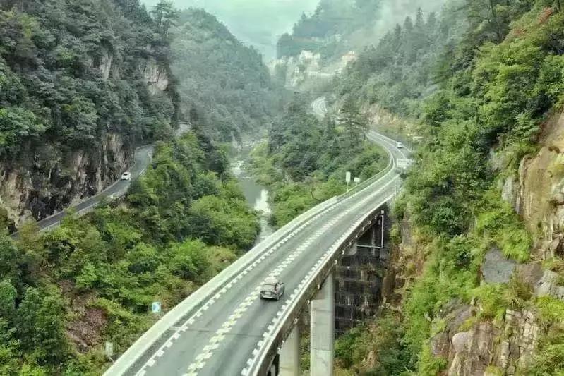 临安哪里的山核桃最好,杭州临安山核桃排名第一