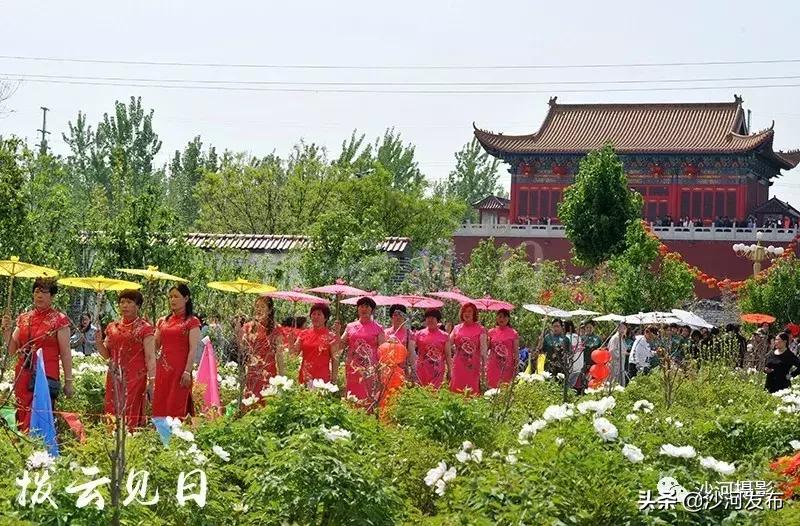 沙河市牡丹观赏地,沙河牡丹苑