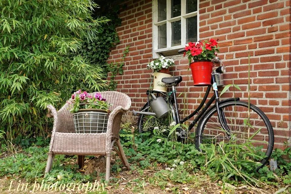 荷兰见闻,荷兰旅居见闻