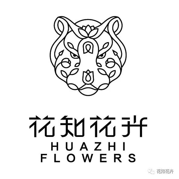 鲜花为什么最爱这一口！｜花呆子的荷兰鲜花游记（二）