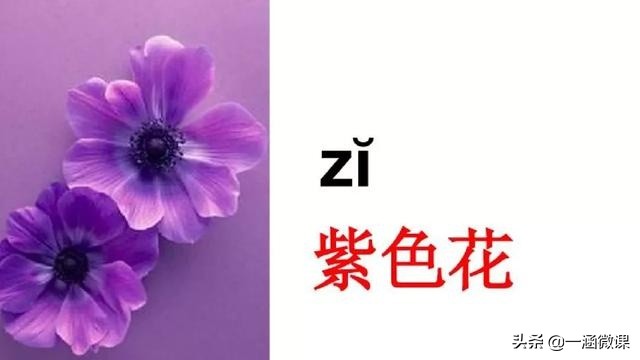 学拼音幼小衔接拼音认读,汉语拼音音节幼小衔接大班