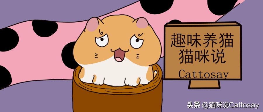 猫冬天怕冷吗需要做保暖措施吗,猫为什么怕冷怎么保暖