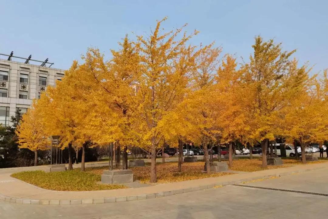 沈阳理工大学辽宁工程技术大学,沈阳理工大学专科院校