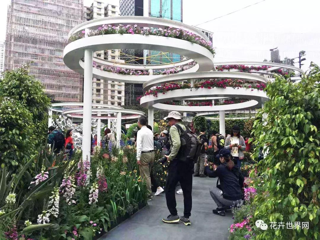 香港花卉艺术展,共赴盛会活动