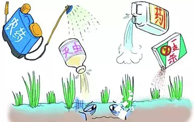 有关农药知识和使用技术,农药知识怎样学习