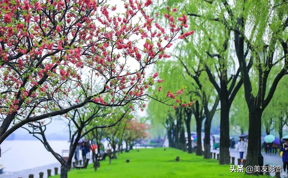 语文拓展100个容易被误用的成语,100个最常被误用的成语行测必备