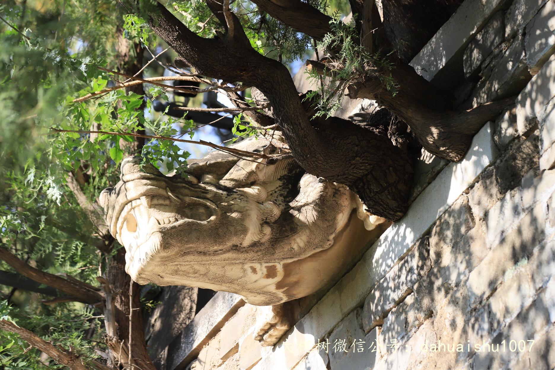 嘉靖陵墓永陵和永乐大典,明朝十三陵之永陵