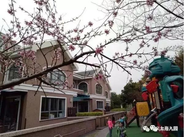 上海市最好的私立幼儿园收费标准,上海宝山民办幼儿园