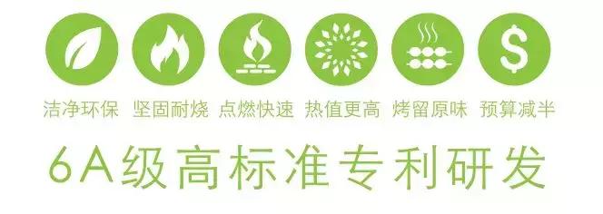 鼎森集团雪炭怎么样,鼎森雪炭