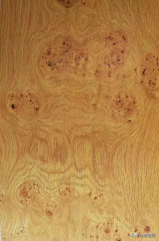 天然木皮源于大自然的美感,天然木皮的美