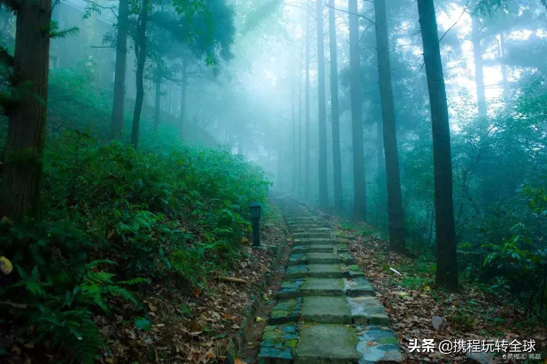 上海周边山一日游推荐,普陀山游两日游报价