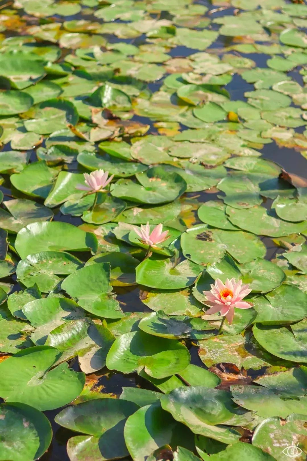 6号线都有什么景点,六号线能去的免费景点