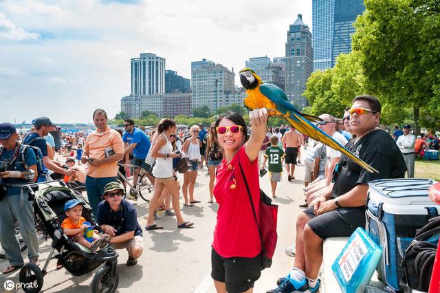 鹦鹉户外放飞训练,鹦鹉户外放飞怎么训练高处往下飞