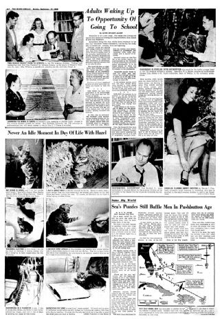 百慕大魔鬼三角的魔鬼在哪里？