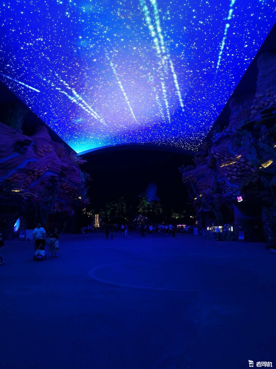 珠海长隆海洋王国攻略2天亲子游,珠海长隆海洋王国亲子游北极熊