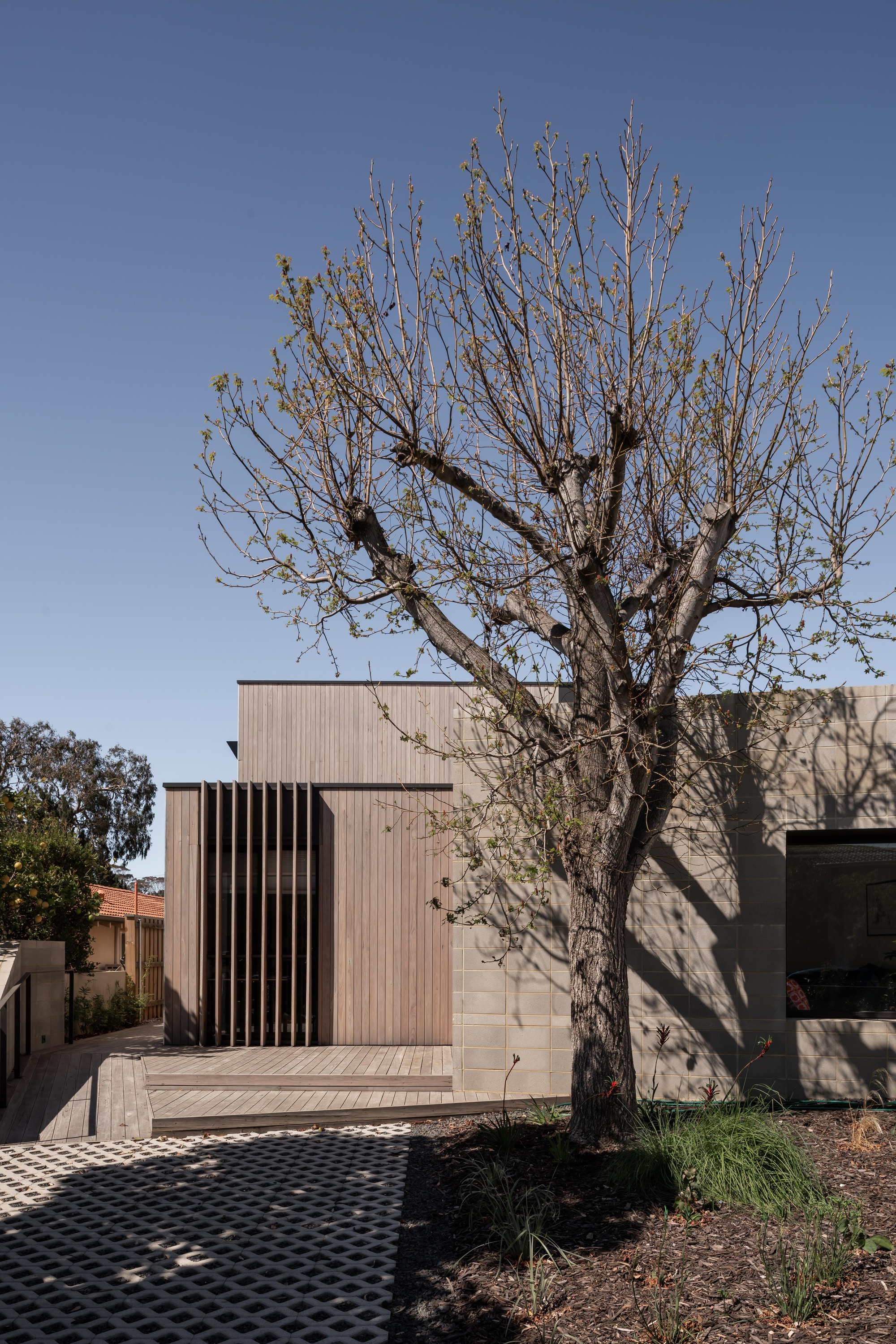 珀斯的绿色小住宅，健康可持续，还为奶奶贴心设计无障碍独立套房