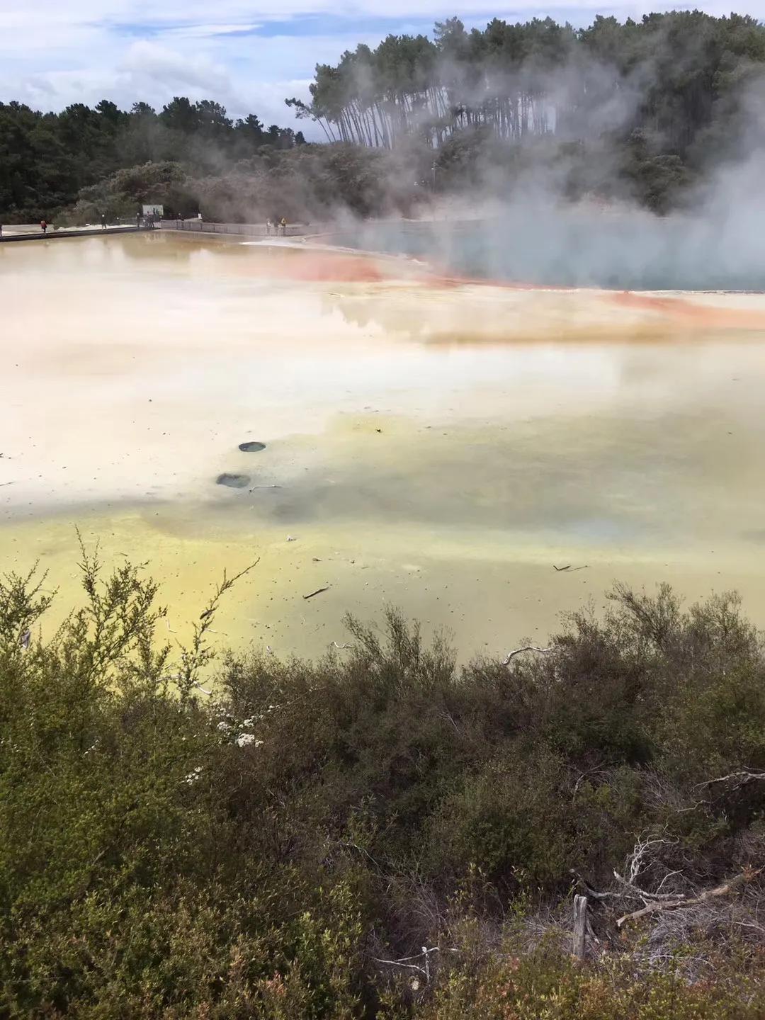 记忆中的旅行之新西兰（北岛）