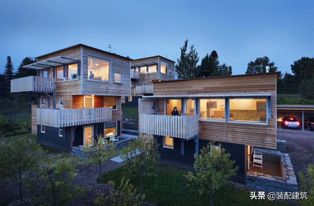 美国设计大奖,美国木雕大赛作品斧子