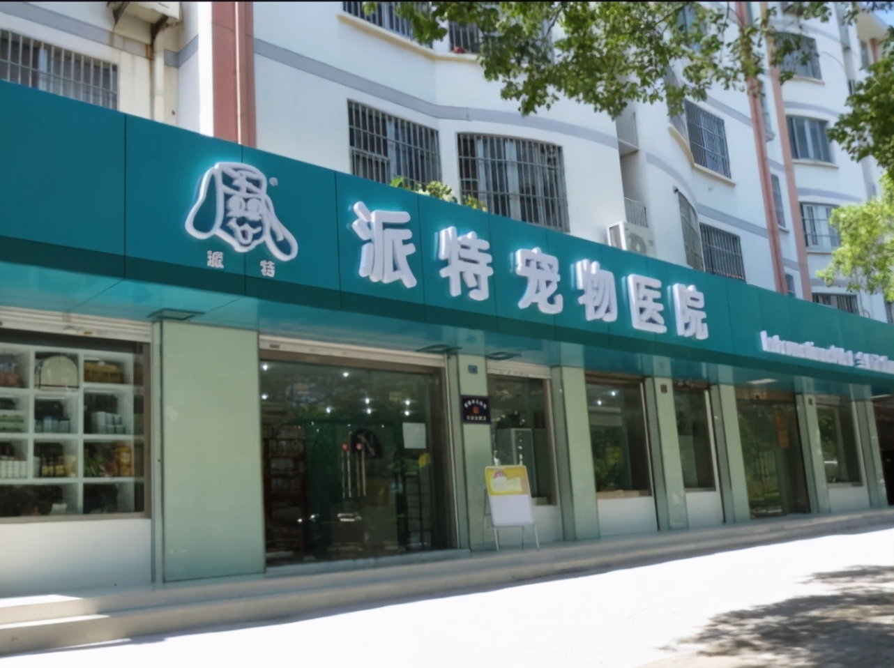 走近瑞派宠医|胡浩院长：好医生要慢着来