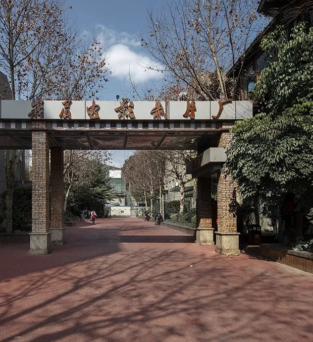 2020年脑洞大开的创业项目,成都脑洞大开