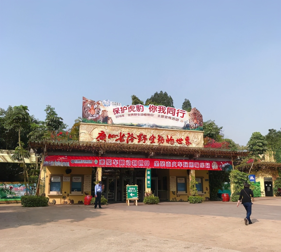 广州长隆野生动物园门票大熊猫,广州长隆野生动物园攻略熊猫