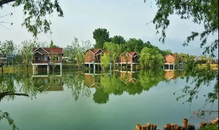 泰山案例,西湖印象拍摄地点