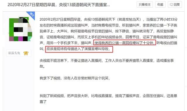 央视直播猫叫后续,央视直播多次出现猫叫