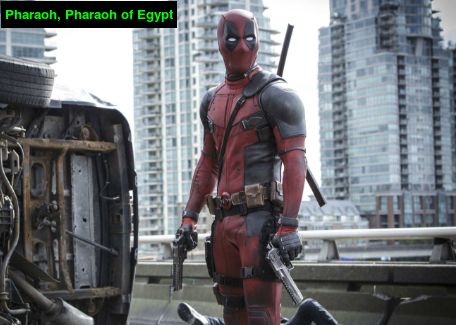 画漫画书用什么软件,画漫画写文