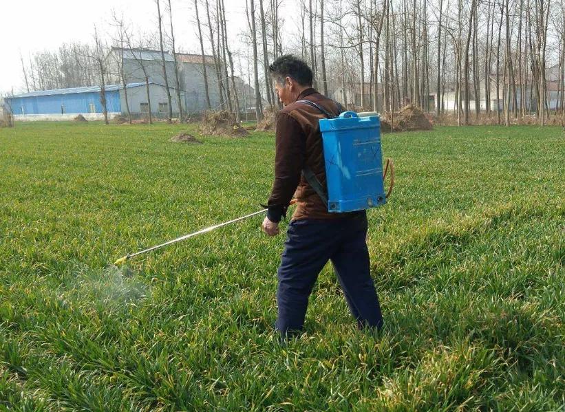 烯草酮除草剂使用注意事项,除草剂使用注意事项