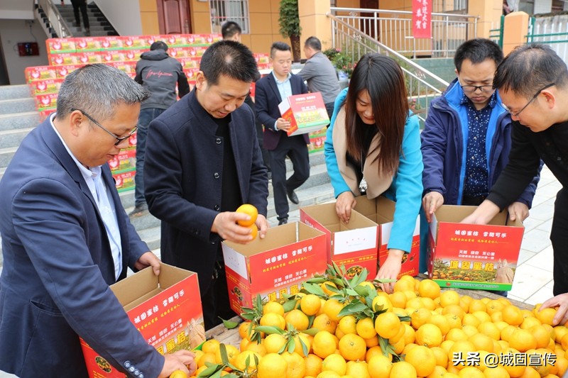 以购代扶助力脱贫攻坚工作 (共青团助力脱贫攻坚微心愿)