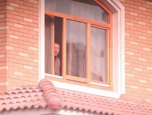 左小青演中国式离婚的电视剧,左小青和她背后的十个男人