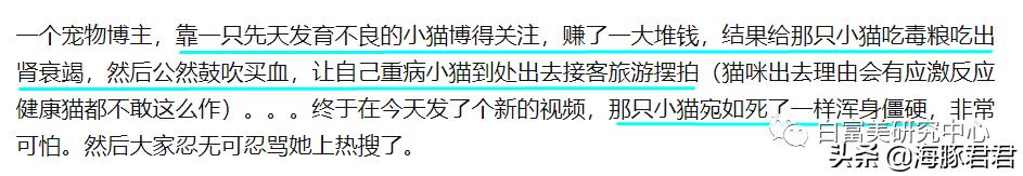 北京小公主靠吸猫血成百万大V,直播整容、大照骗、2年养死3只猫