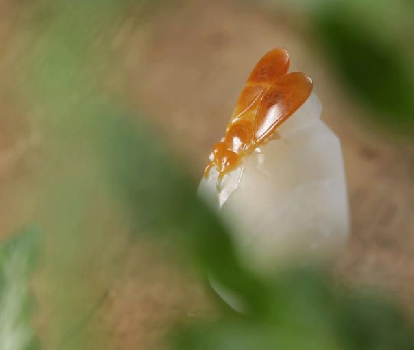 和田玉白玉哪个地方的料子最好,和田玉羊脂白玉产地有哪些