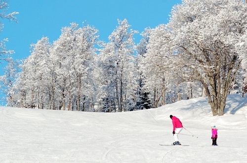 高晓松谈北欧人生活,高晓松的言论