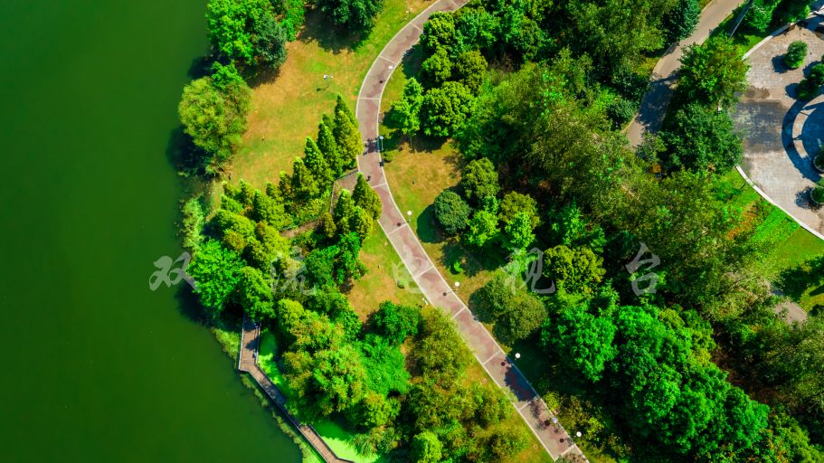 全长240公里的锦江绿道！太震撼了