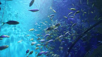 秦皇岛最值得去的酒店,秦皇岛海边好点的酒店推荐哪家