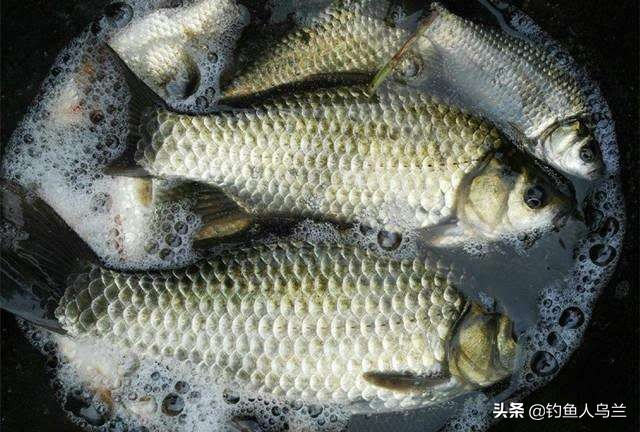 最简单的调漂法,最简单的调漂方法有几种