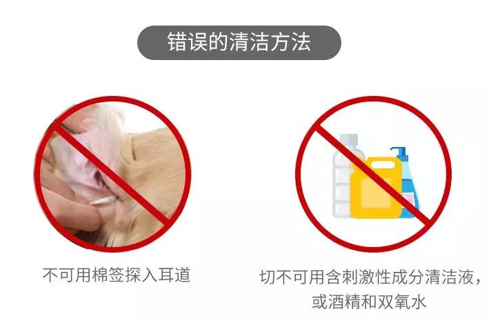 养猫必看的医学知识书,100个科学养猫秘籍