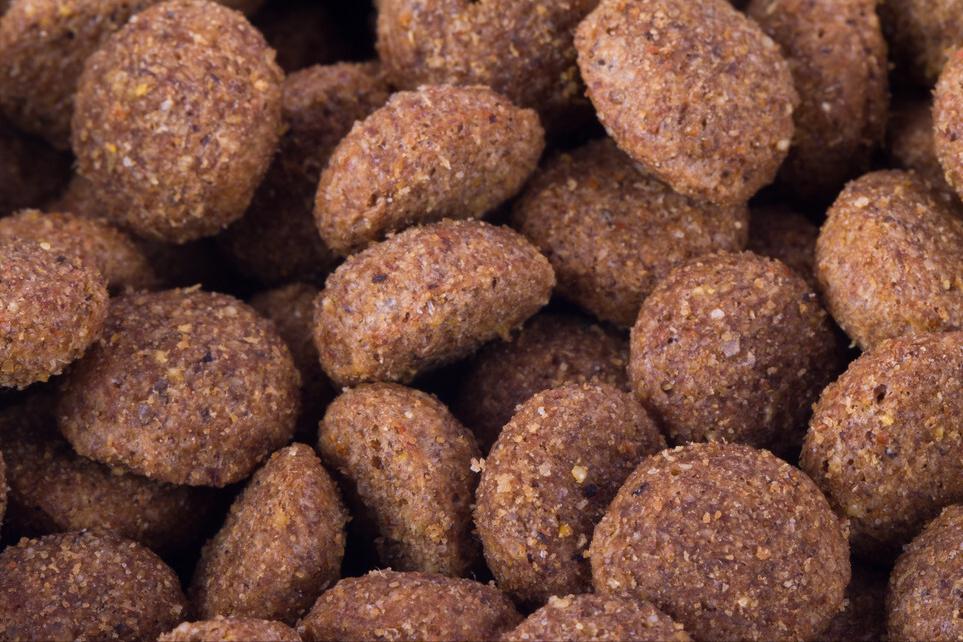 贵宾就吃冻干不吃狗粮是挑食吗,贵宾挑食太瘦怎么办啊