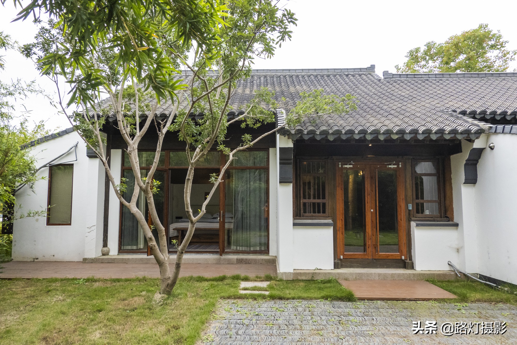 沙家浜秋色,沙家浜秋天芦苇荡