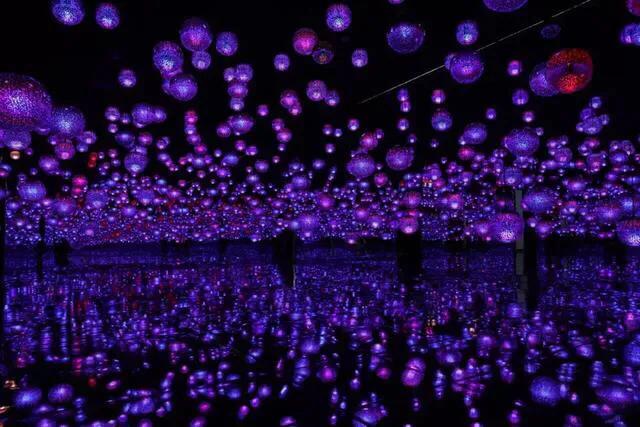 深圳暑假值得带孩子旅游的地方,深圳十大暑假室内必去景点