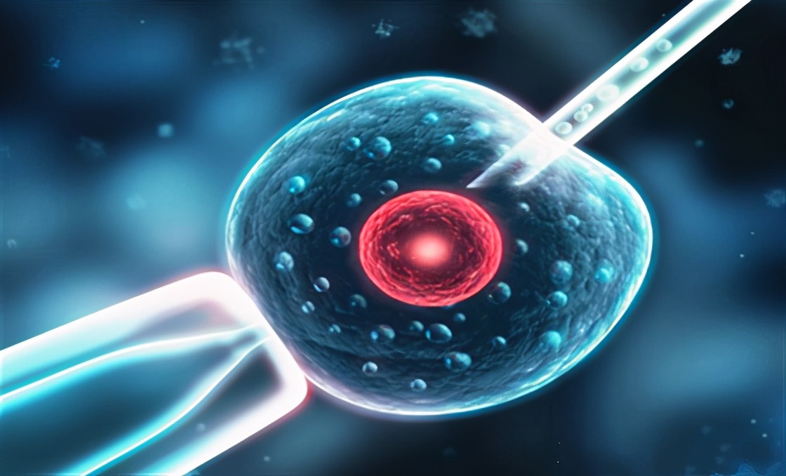 试管移植后紧张焦虑怎么办,试管移植后过度紧张怕走快