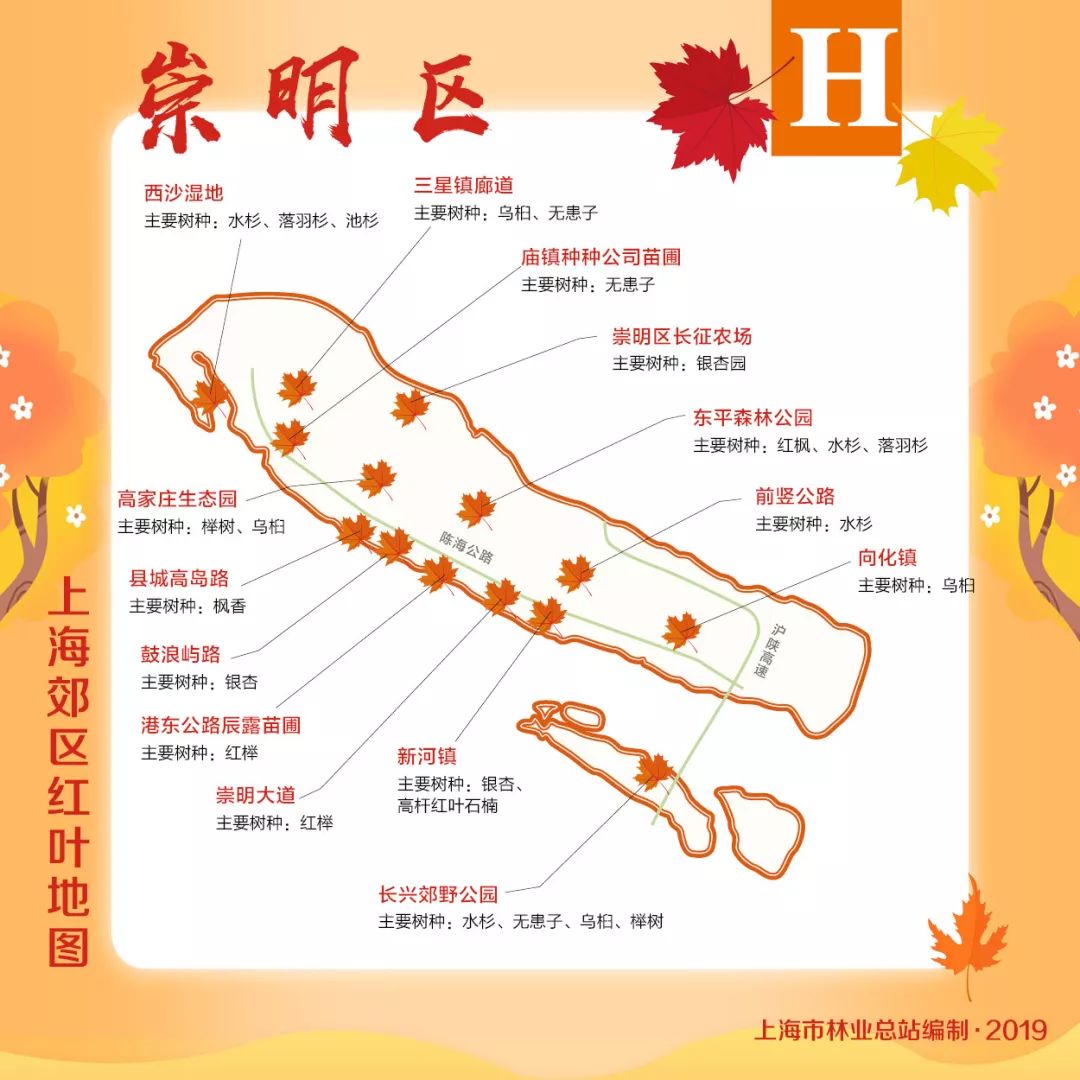 赏枫地图,赏红叶正当时