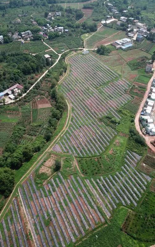 成都东部新区智慧田园,成都生态田园