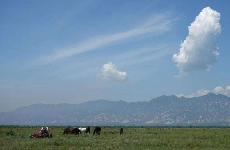 五一能去坝上草原吗,适合旅游的草原哪里离北京近