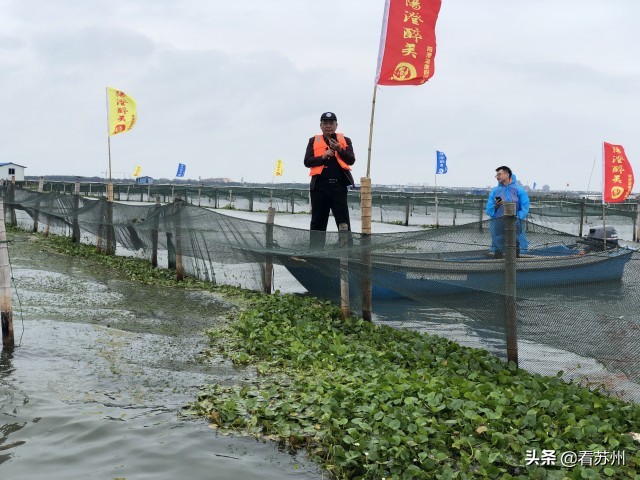 阳澄湖大闸蟹开售,吃货阳澄湖大闸蟹