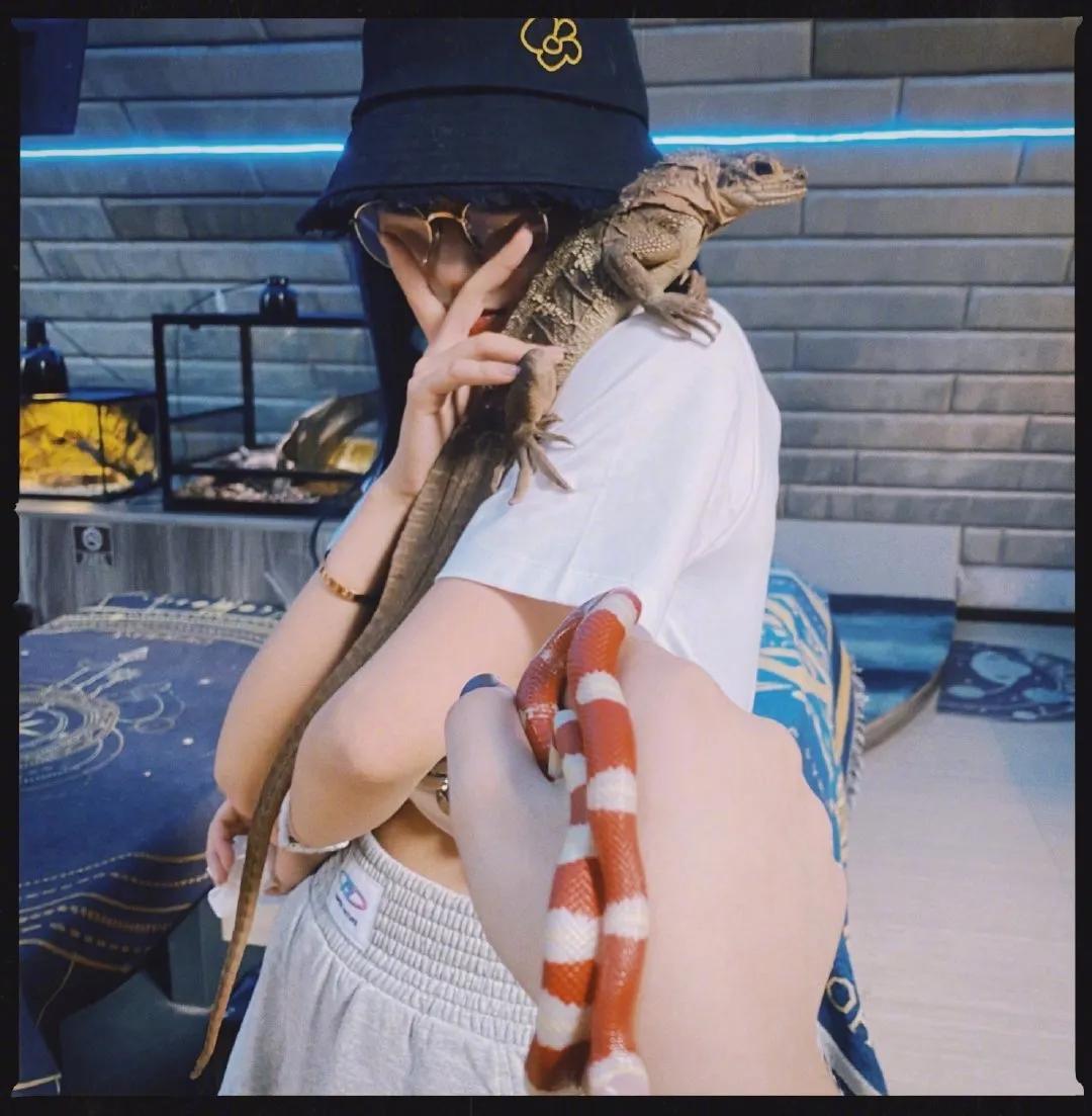 顾佳戴的首饰品牌,顾佳同款爱马仕手镯