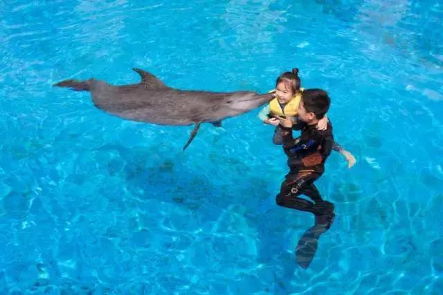 珠海长隆和广州长隆旅游攻略区别,珠海长隆旅游策略