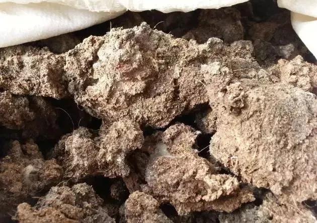 鸡粪羊粪牛粪猪粪哪个有机肥最好,鸡粪牛粪猪粪羊粪到底哪个效果好